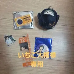 いちご大福様 リクエスト 2点 まとめ商品