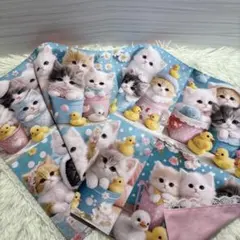 Item thumbnail for item a2a14519-0db4-4e18-b17f-1fc6d71e6f10