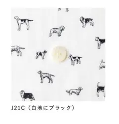 リバティタナローンMan's Best Friend 2.8m バイアステープ付