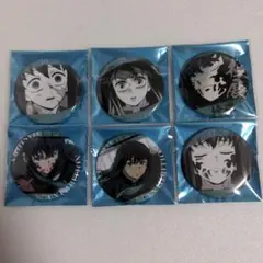 【纏めて購入150円引き】柱展 エモーショナル缶バッジ 無一郎2