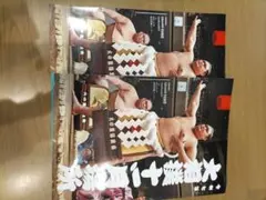 2025年大相撲11月場所　パンフレット 2冊セット
