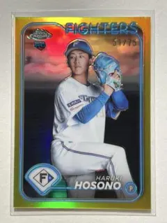 Item thumbnail for item 38f82090-3df3-469f-8e74-b80fe7abac2e