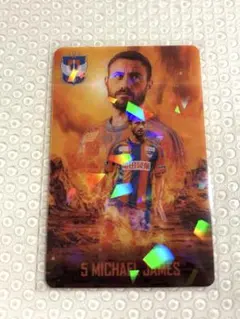 アルビレックス新潟　トレーディングクリアカード　舞行龍ジェームス