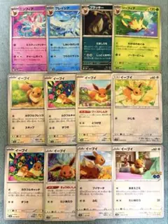 イーブイ ニンフィア ブラッキー リーフィア グレイシア 12枚セット