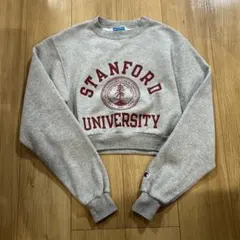 00s Champion スウェット カレッジロゴ グレー　ショート丈　古着