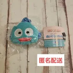 はぴだんぶい つかまり ぬいぐるみバッジ ハンギョドン