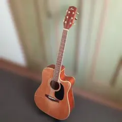 2026年最新】fina アコースティックギターの人気アイテム - メルカリ