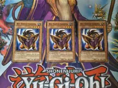 Big Shield Gardna