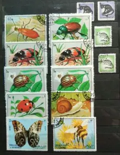 user_1ca85ede様 リクエスト 2点 まとめ商品