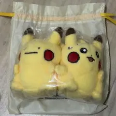 韓国　ポケモン　ソンス　ポップアップ　ピカチュウ