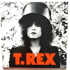 2026年最新】t-rex cdの人気アイテム - メルカリ