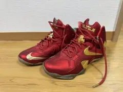 レブロン11 elite se 訳あり