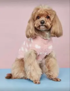 Item thumbnail for item 24736149-6ab9-4d5c-8164-aa5ff774ea57