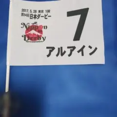 JRA　日本ダービー　アルアイン　フラッグ