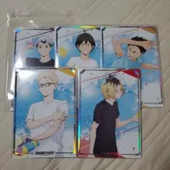 ハイキュー!! ポートレート 水遊び 北 山口 岩泉 月島 研磨 5点セット