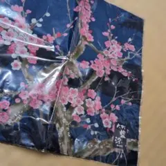 Item thumbnail for item 858c2292-8b87-4995-a049-feaafcca3204