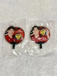 バレーボール男子日本代表 バレーボール