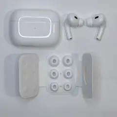 Apple AirPods Pro 2 USB-C 充電ケース美品 チップ未使用