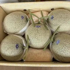 糖度15以上保証!! 北海道 「夕張IKメロン」 優品 4玉 8 キロ - メルカリ