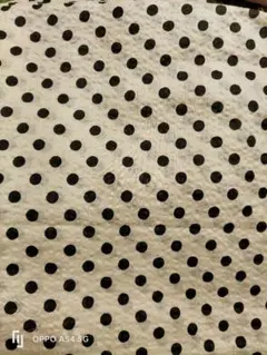 Item thumbnail for item a8426a8e-c825-41f4-88af-159e3293d7dc