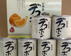n*u様 熊本産 デコポン缶詰 6缶入 JAあしきたのサムネイル