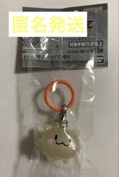 TREASUREカプセルトイTRUZ ハルト RURU めじるしアクセサリー