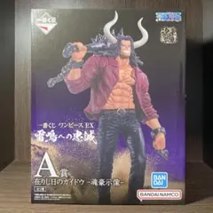 ワンピース『　在りし日のカイドウ　』フィギュア　一番くじA賞　未開封品　匿名配送