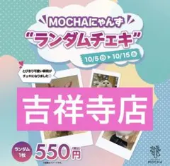猫カフェ MOCHA ランダムチェキ 吉祥寺店