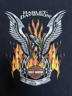 【希少GUAM】2002 Harley-Davidson イーグル XLのサムネイル