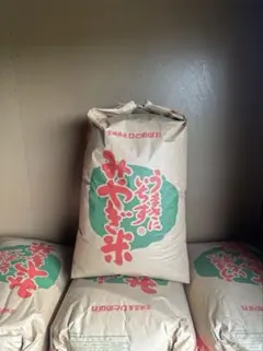 【令和7年度宮城県産】　ひとめぼれ玄米　30キロのサムネイル