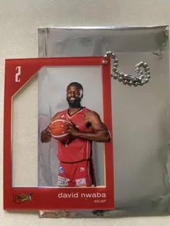 三遠ネオフェニックス デイビッド・ヌワバ アクリルカードキーホルダー