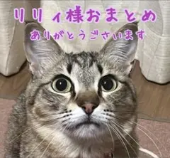リリィ☆様おまとめページ