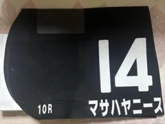 JRA競馬 実使用ゼッケン【マサハヤニース】