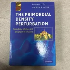 THE PRIMORDIAL DENSITY PERTURBATION