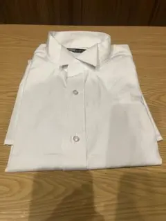 Item thumbnail for item 779fdd2c-50df-41e6-a4d5-b0efee1f51b8