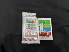 福岡ソフトバンクホークス クレヨンしんちゃん シークレットチェキ 10 上沢