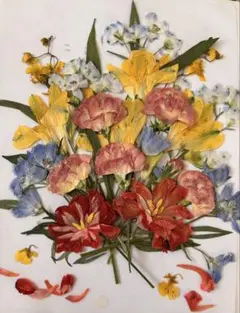 Item thumbnail for item 205488c1-ca14-42cd-8df4-bda3052ddde3