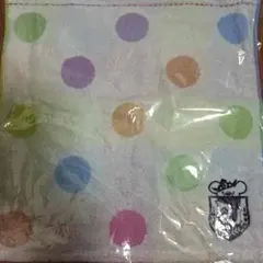 ディズニーストア ファンタミリア ユニベアシティ タオル 非売品