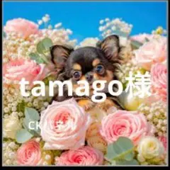 14Kgf　犬用　うちの子　お名前　オーダー　ネックレス　水晶　ビタミンカラー 14Kgf 犬用 うちの子 お名前 オーダー ネックレス 水晶 ビタミンカラー