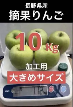 摘果りんご　約１０ｋｇ　加工用　大きめサイズ　長野県産のサムネイル