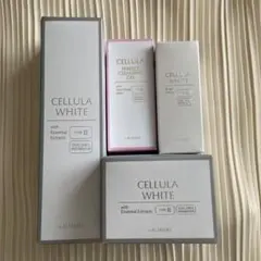 Item thumbnail for item f2da0e81-d01b-49f4-865c-01a3943418c7