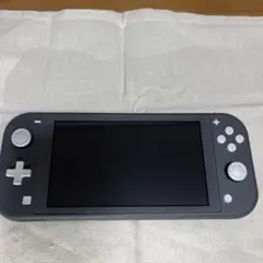 Nintendo Switch NINTENDO SWITCH LITE グレー