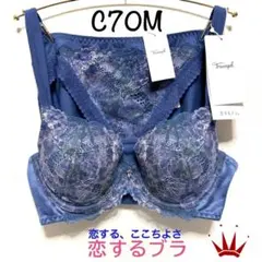 ＊C70M トリンプ 恋するブラ643 25th ブラ＆ショーツ M008