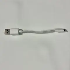 ライトニングケーブル　ショート