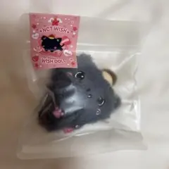未開封 NCT WISH WISHDOLL リク kuri 公式品 Q1 - メルカリ