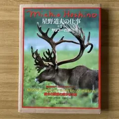 2025年最新】星野道夫の仕事の人気アイテム - メルカリ