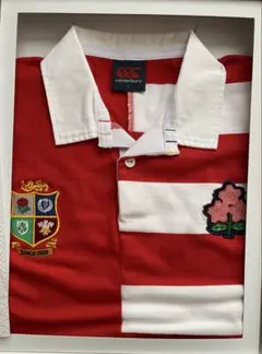 2026年最新】ブリティッシュ＆アイリッシュ・ライオンズの人気アイテム