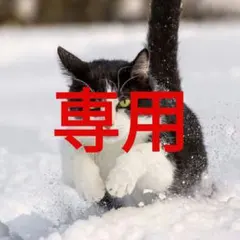 しばライオン同封❌ 様専用