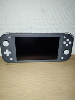 Nintendo Switch Lite グレー 本体