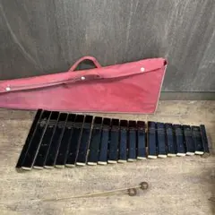 Item thumbnail for item 42621e26-ad92-4cc7-a0a0-01898483351c